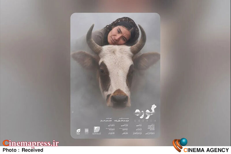رونمایی از پوستر بینالمللی فیلم «گوره» مرجان اشرفیزاده رونمایی از پوستر بینالمللی فیلم «گوره» مرجان اشرفیزاده