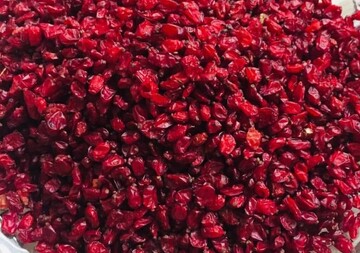 جشنواره ملی زرشک افین