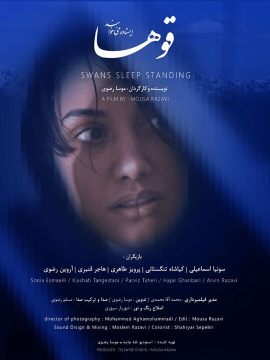 متن